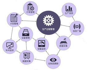 mes系統(tǒng)項目實施遵守原則