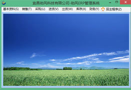 軟件開發定制