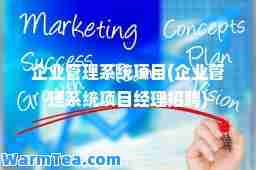 企業管理系統項目(企業管理系統項目經理招聘)