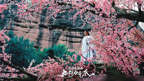 九陰白骨爪 降龍十八掌 相繼定檔,射雕ip開發解鎖新模式