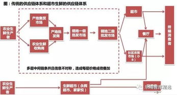 大消費(fèi)研究之 2018年生鮮供應(yīng)鏈行業(yè)研究報(bào)告