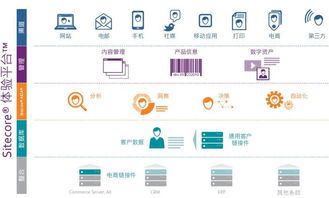 sitecore客戶體驗管理平臺定制開發