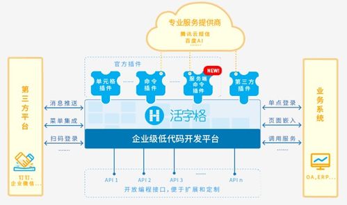 葡萄城 通過低代碼開發平臺搭建產業生態服務體系
